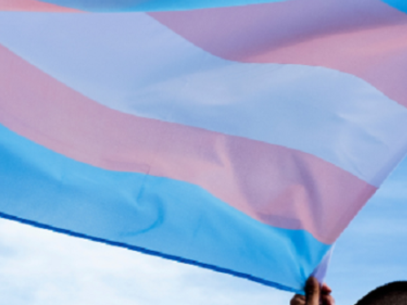 Trans flag held up high in the sky