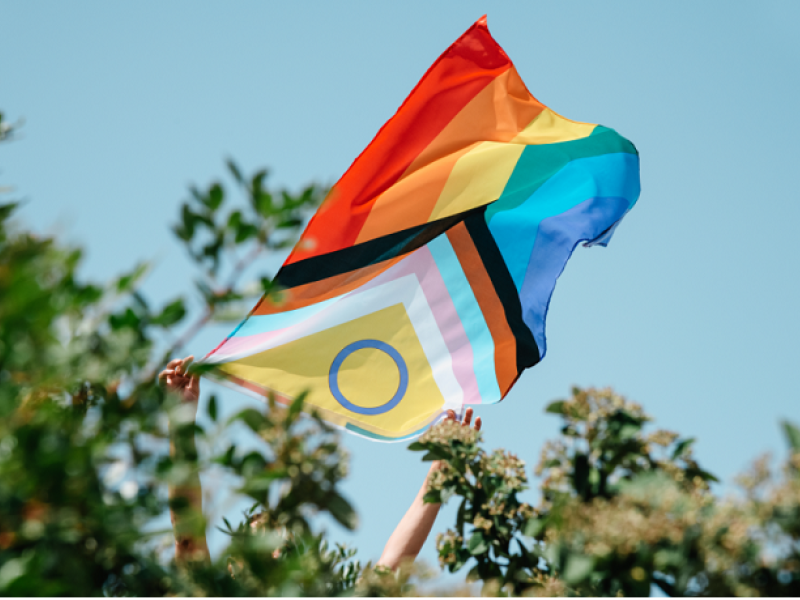 idahobit flag blowing in wind